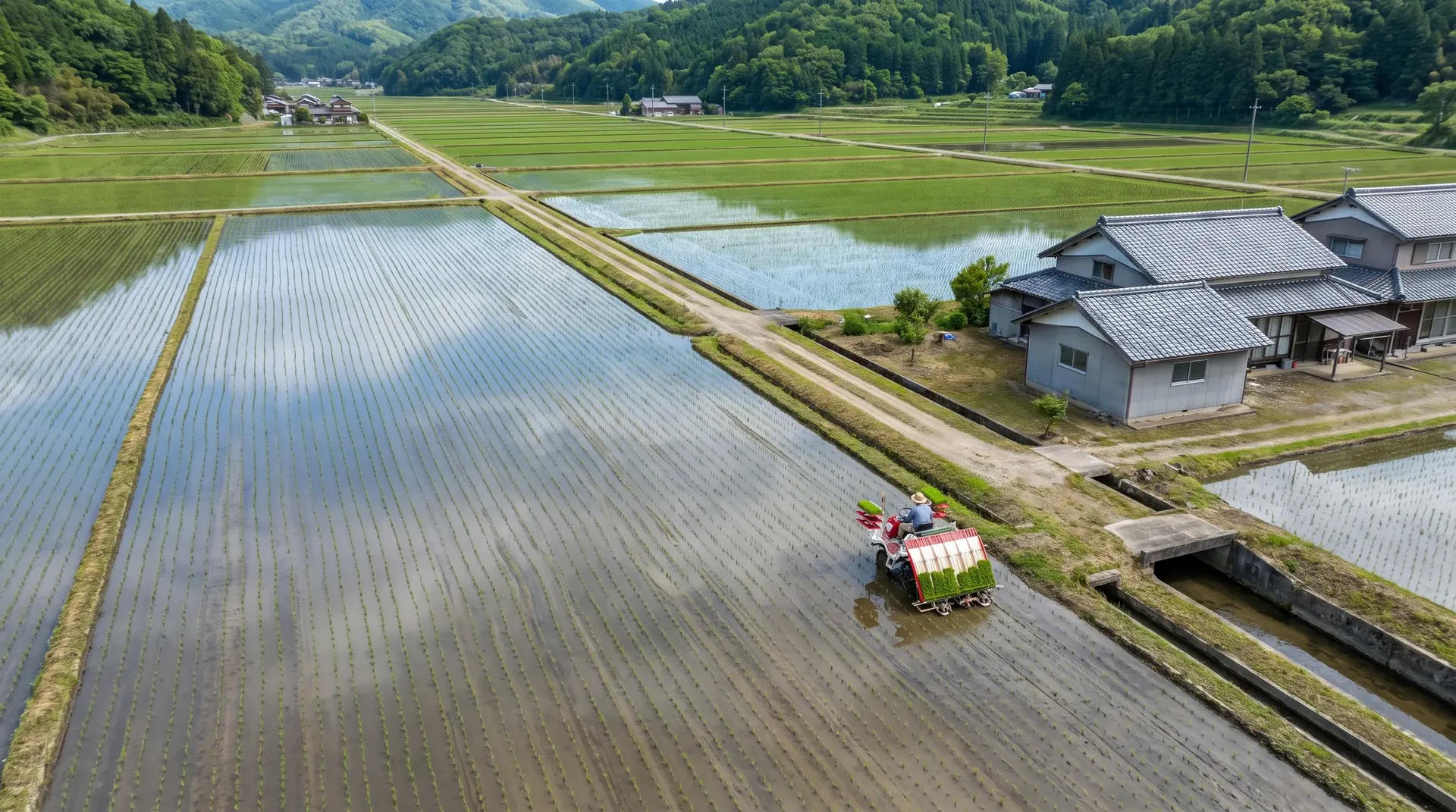 朝の田園。苗を植えたばかりの水田と農家、田植え機で作業する人